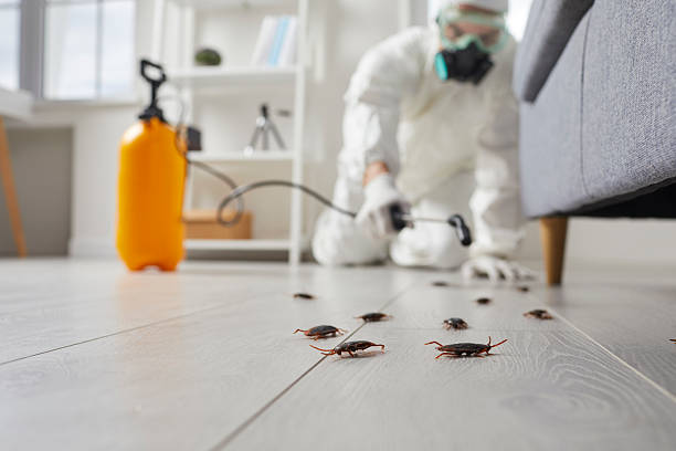 Post-Treatment Bed Bug Interceptor Monitoring in Bloomfield